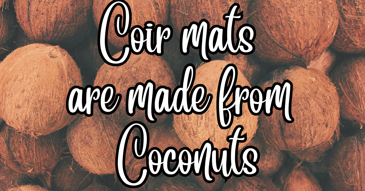 Coir_Coconut_image.png